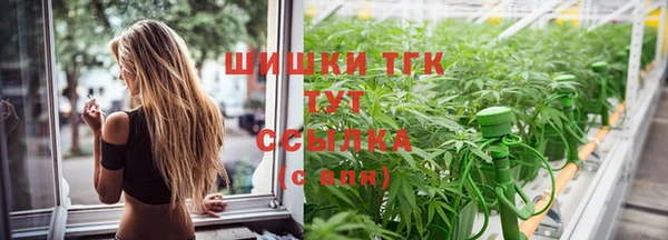 гидра Армянск