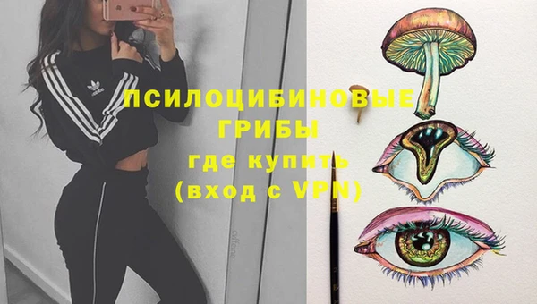 гидра Армянск