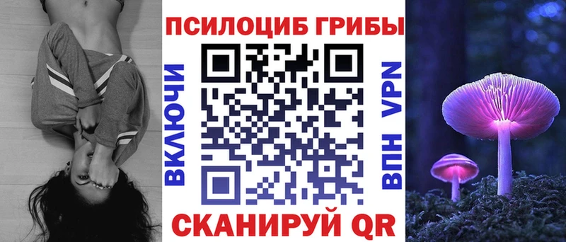 как найти наркотики  Мглин  Галлюциногенные грибы Magic Shrooms 
